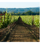 La Passion des Terroirs