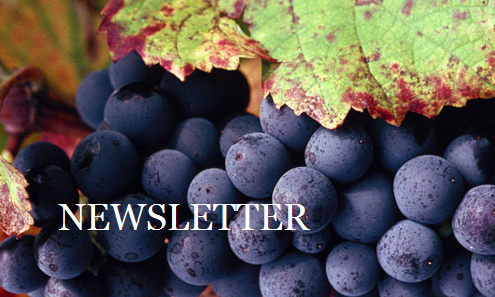 newsletter vin