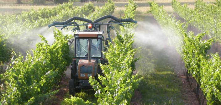 phyto vin