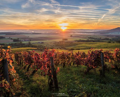 photographe-nancy-soleil-vignes-lorraine-automne